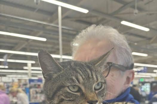 Freddie the Tesco cat is popular with staff and customers.