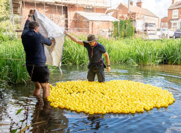 The ducks are launched!