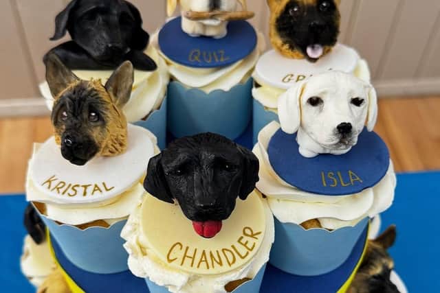 Cakes from the Lincoln Guide Dogs fundraising group celebration.