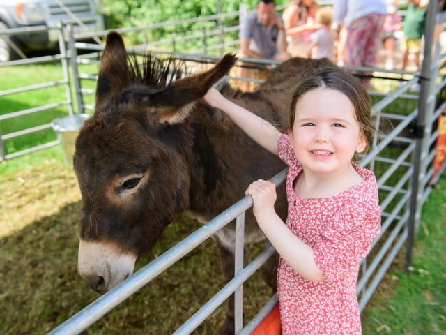 The Lincolnshire Show