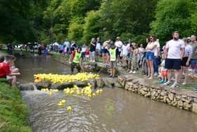 The launch of the duck race at Hubbard's Hill. Photos: DR Dawson Photography