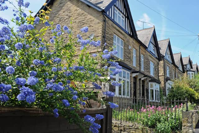 Homes with gardens are expected to attract a premium. Picture: Andrew Roe.