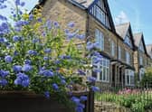 Homes with gardens are expected to attract a premium. Picture: Andrew Roe.