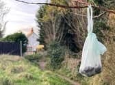 Dog dirt left in a tree in Skegness.