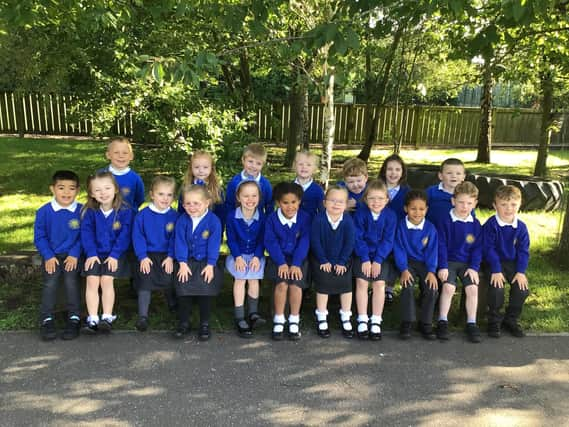 St Michael's C of E Primary School - Cherry Class.