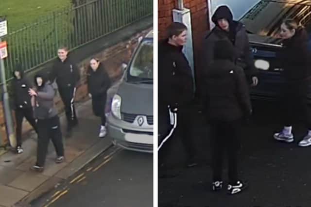 The images released by Lincolnshire Police following the criminal damage in Boston.