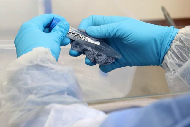 A test tube is cleaned on arrival at a Covid-19 testing lab