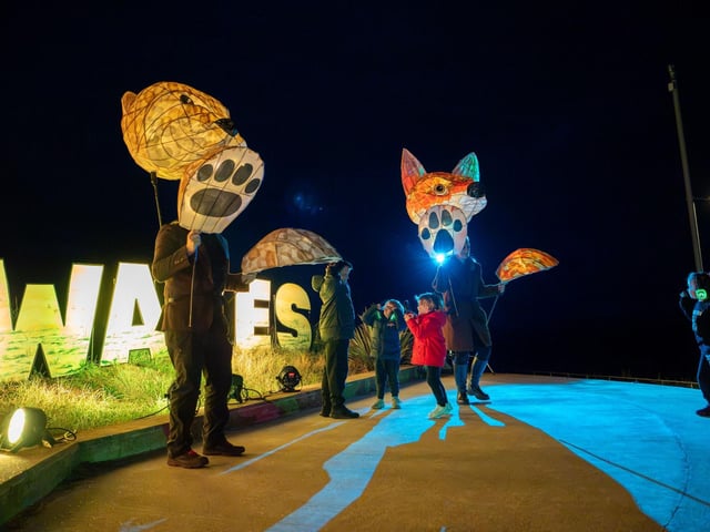 'Fox' and 'Otter' dance at the silent disco.