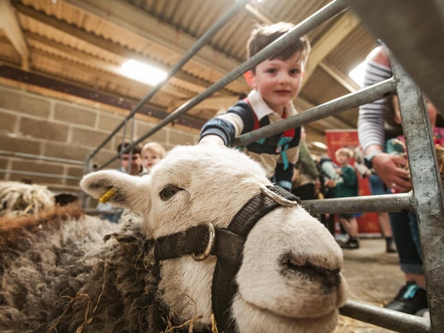 Learning about farming life at Countryside Lincs. Photo: Steve Smailes