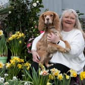Dog Romeo and customer at Dobbies