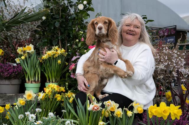 Dog Romeo and customer at Dobbies