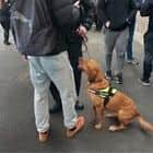 Policing teams with a sniffer dog targeted railway stations in the operation.
