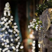 Christmas is coming with the National Trust in Lincolnshire