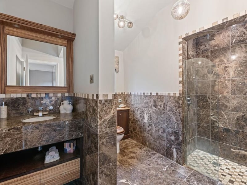 The ground-floor shower room.