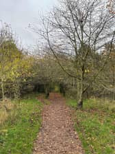 Section of footpath at Millennium Green