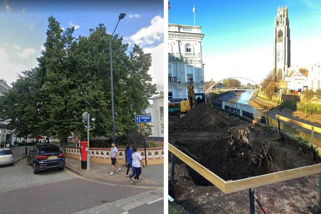 The unsafe tree that was removed from outside The White Hart, Boston, and the scene today. Picture: Google Street View/National World