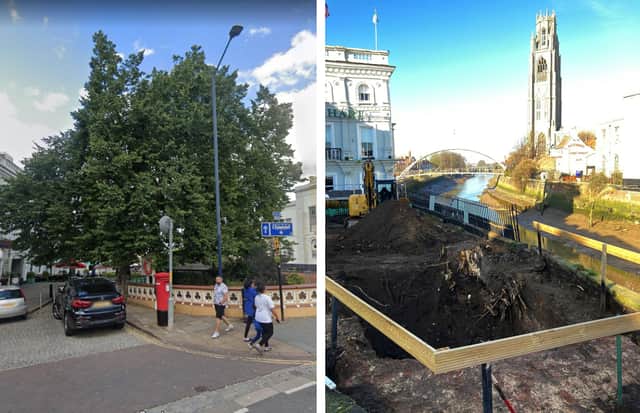 The unsafe tree that was removed from outside The White Hart, Boston, and the scene today. Picture: Google Street View/National World