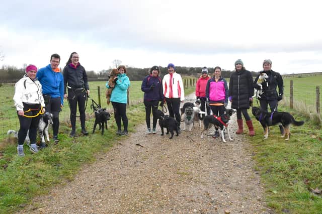 Gemma's canicross group.