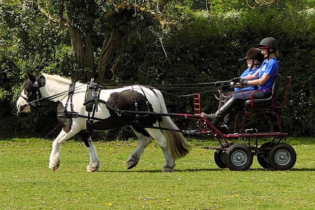 The specially adapted carriage which was stolen from Kesteven RideAbility.