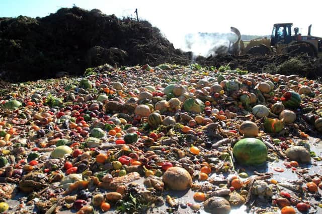 Food waste composting
