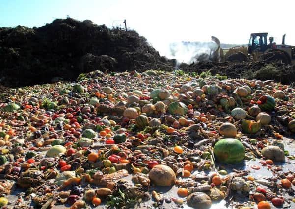 Food waste composting