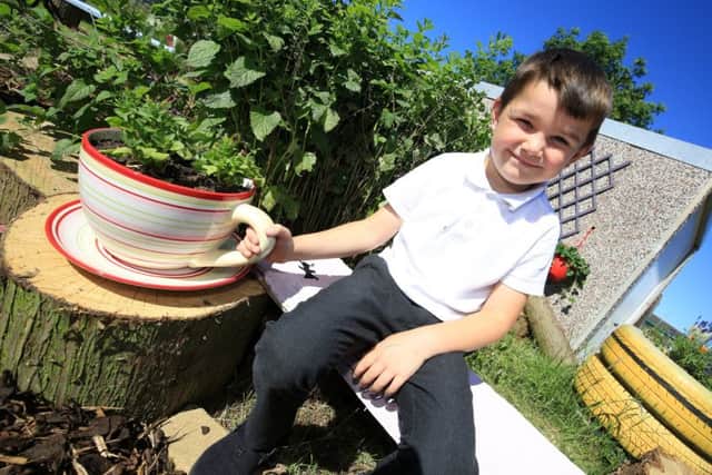 Gainsborough Adventure Playground have a new nature garden and bug hotel thanks to the help from Marks and Spencer in the community project. Pictured is Alfie Grange Smith, six.
