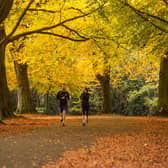 A jogger runs under deciduous trees in Clifton, Bristol.