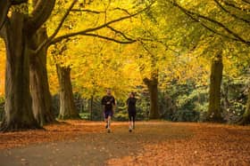 A jogger runs under deciduous trees in Clifton, Bristol.