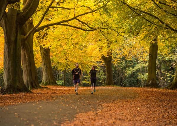 A jogger runs under deciduous trees in Clifton, Bristol.