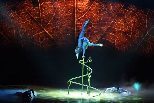 Cirque duo Soleil. Photo by Goff Photos.