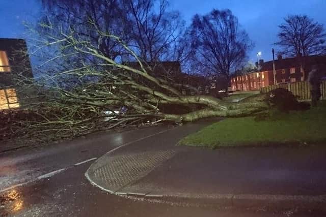 The Met Office said trees could fall.