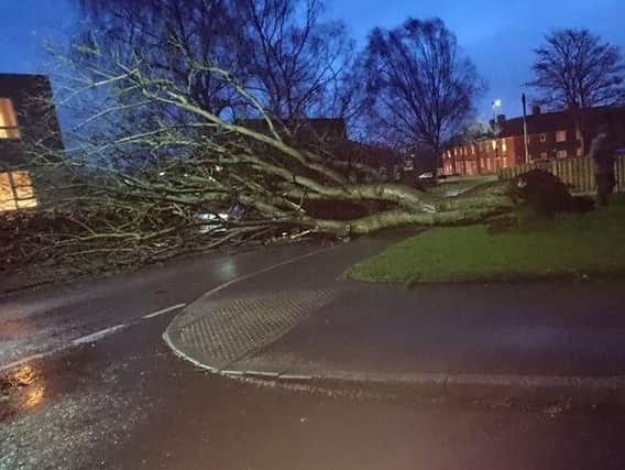 Journeys by road, rail and air are likely to be disrupted and the conditions could also damage buildings, lead to power cuts and blow over trees.