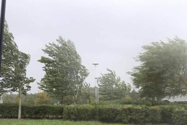 Maximum temperature 15C.