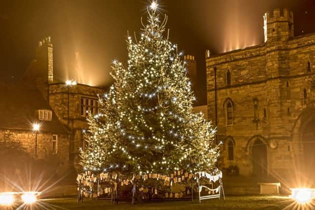 A typical St Barnabas Hospice Tree Of Life, adorned with lights dedicated in memory of loved ones.