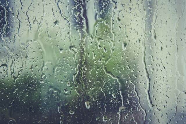 Today's weather forecast.