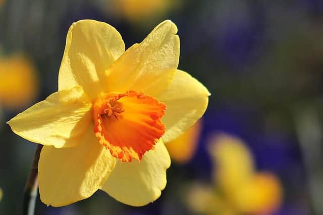 Have a lovely day.