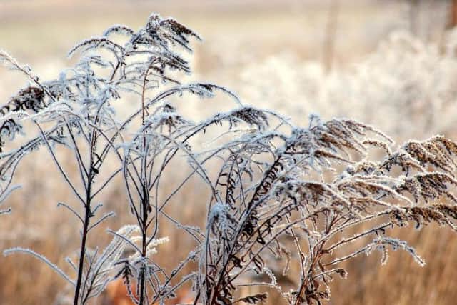 Its chilly out there this morning.