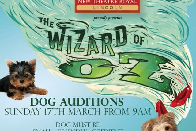 Auditions for dogs take place this weekend