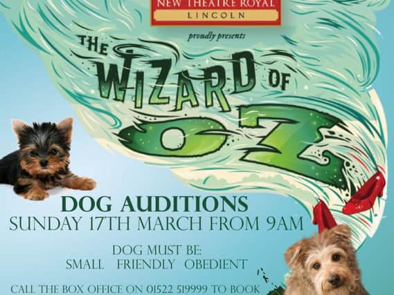 Auditions for dogs take place this weekend