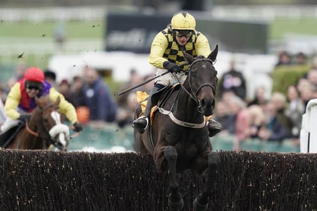 Al Boum Photo, ridden by Paul Townend and trained by Willie Mullins, jumps the last to seal his Magners Cheltenham Gold Cup triumph (PHOTO BY: Alan Crowhurst/Getty Images).