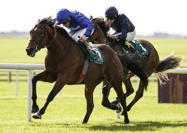 Anthony Van Dyck, seen here chasing home Quorto in a big 2yo race last season, is our expert's fancy for Saturday's Investec Derby. (PHOTO BY: Alan Crowhurst/Getty Images).