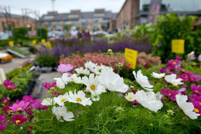 Gainsborough Food and Garden Festival