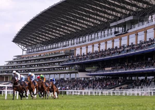 Racing against the backdrop of Ascot's spectacular main stand (PHOTO BY: Justin Setterfield/Getty Images)