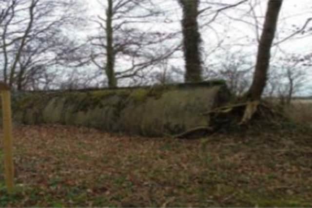 An example of one of the Stanton air shelters found on the Laughton woodland site.