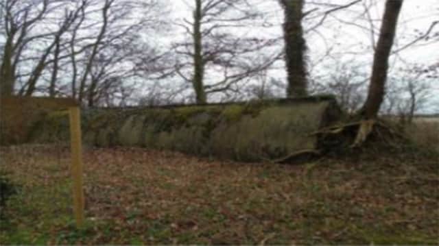 An example of one of the Stanton air shelters found on the Laughton woodland site.