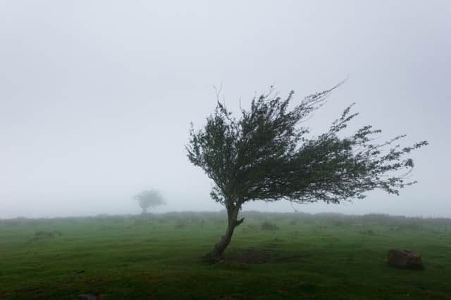 Watch out for the high winds.