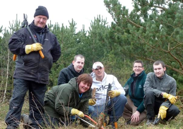 Volunteers undertaking heathland restoration work on Manton Pit Wood