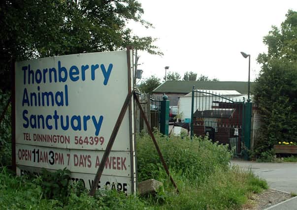 DINNINGTON, Thornberry Animal Sanctuary, Todwick Road.
Thornberry Animal Sanctuary.