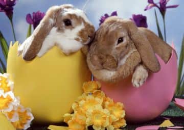 Easter