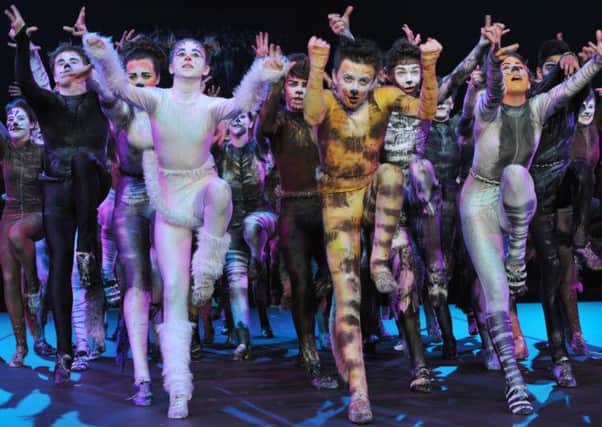 Three thousand young performers, including 17 young singers and dancers from Retford and Worksop, took to the stage for Britains largest ever performance of Andrew Lloyd Webbers Cats